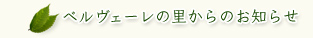 ベルヴェーレの里からのお知らせ